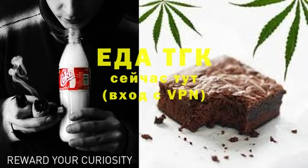 индика Кукмор