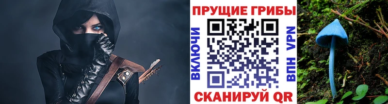 Галлюциногенные грибы Magic Shrooms  Волчанск 